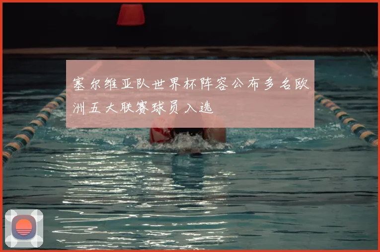 塞尔维亚队世界杯阵容公布多名欧洲五大联赛球员入选