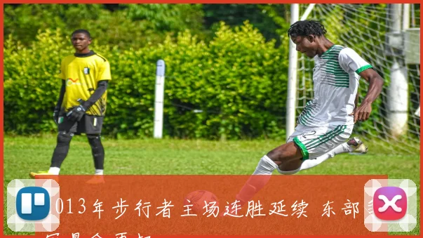 2013年步行者主场连胜延续 东部争冠悬念再起