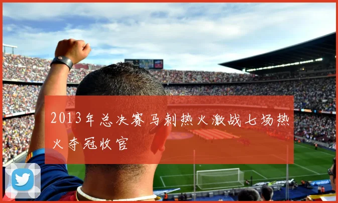 2013年总决赛马刺热火激战七场热火夺冠收官
