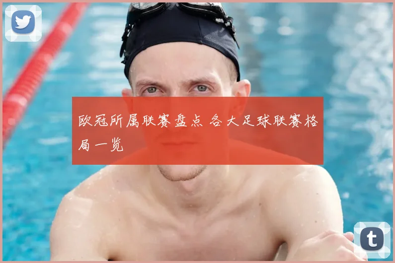 欧冠所属联赛盘点 各大足球联赛格局一览